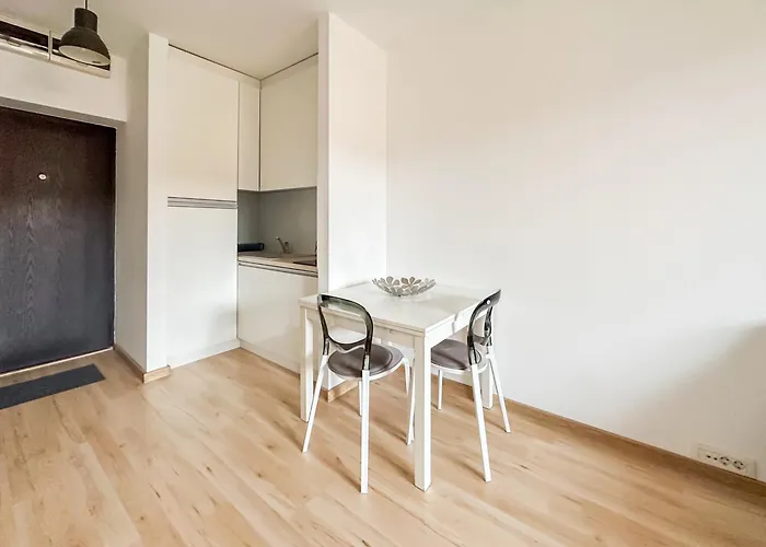 Garden Apartment - Herastrau Park 3Min Walk